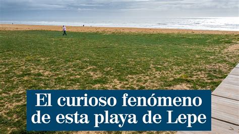 hoy llueve en lepe|El Tiempo: Lepe (Huelva)